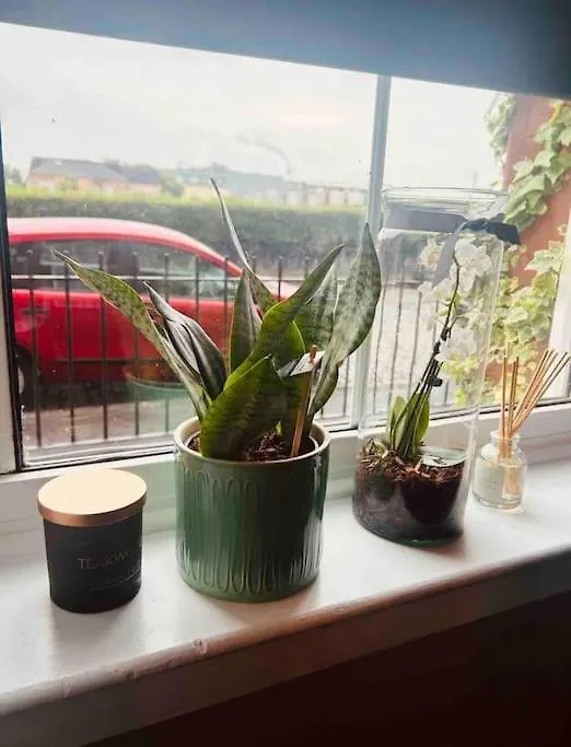 Large 2 Bedroom, Ground Floor Flat, Close To City EDI 0*, Edinburgh